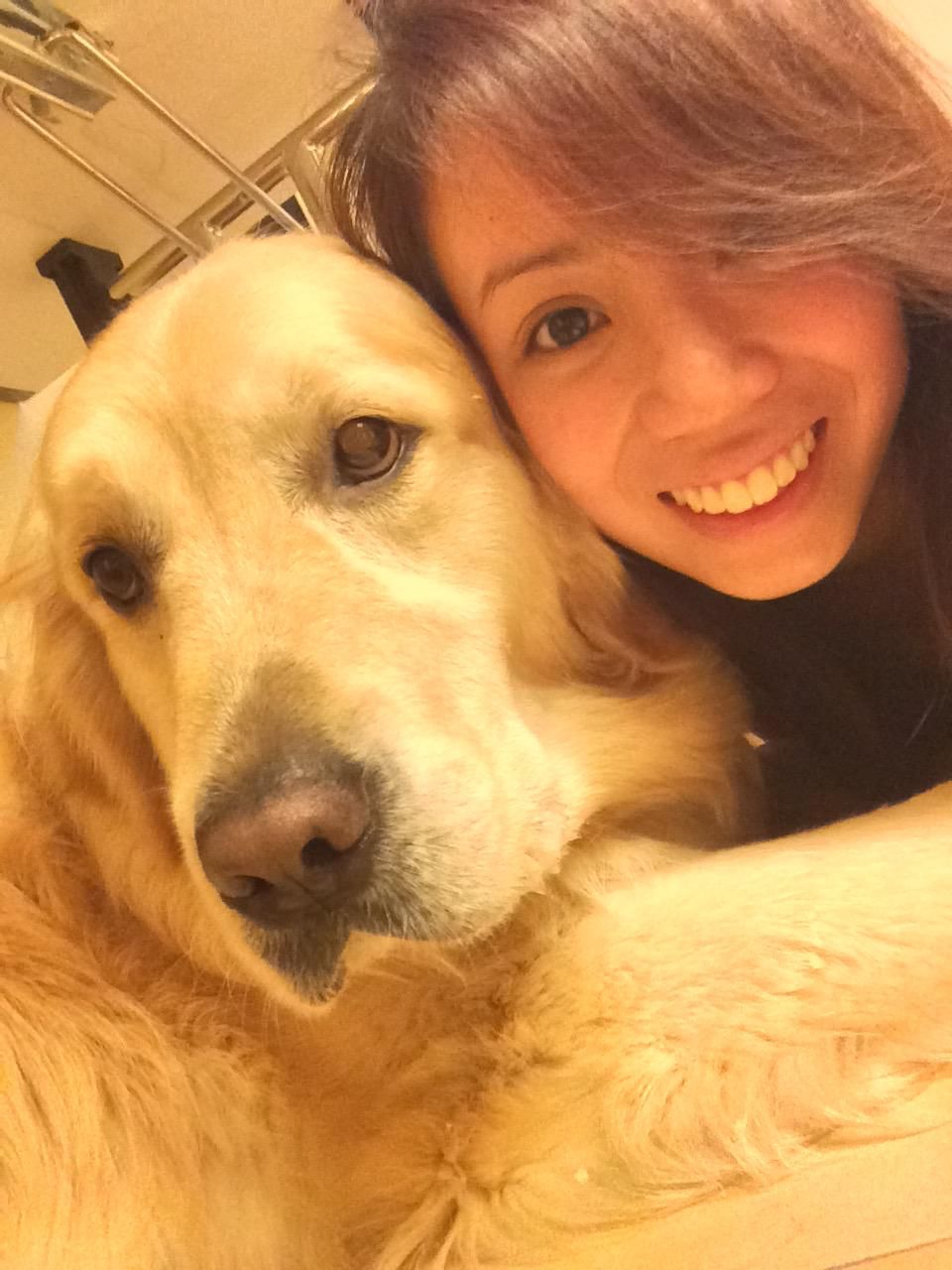 Momento DogBliss