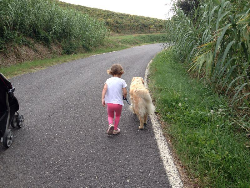 Educazione Assistita con gli Animali DogBliss