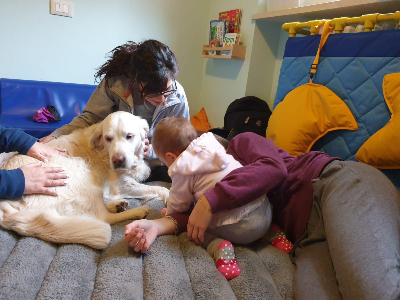 Momento DogBliss