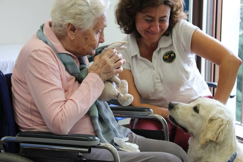 Momento DogBliss