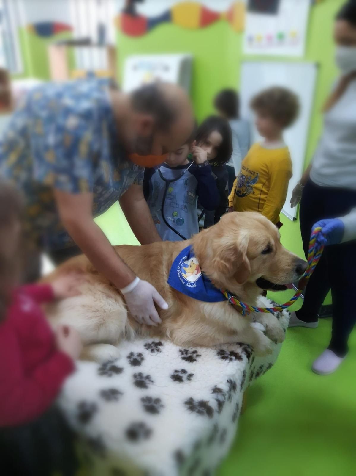 Momento DogBliss