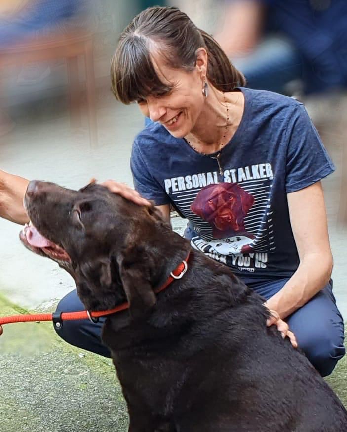 Momento DogBliss